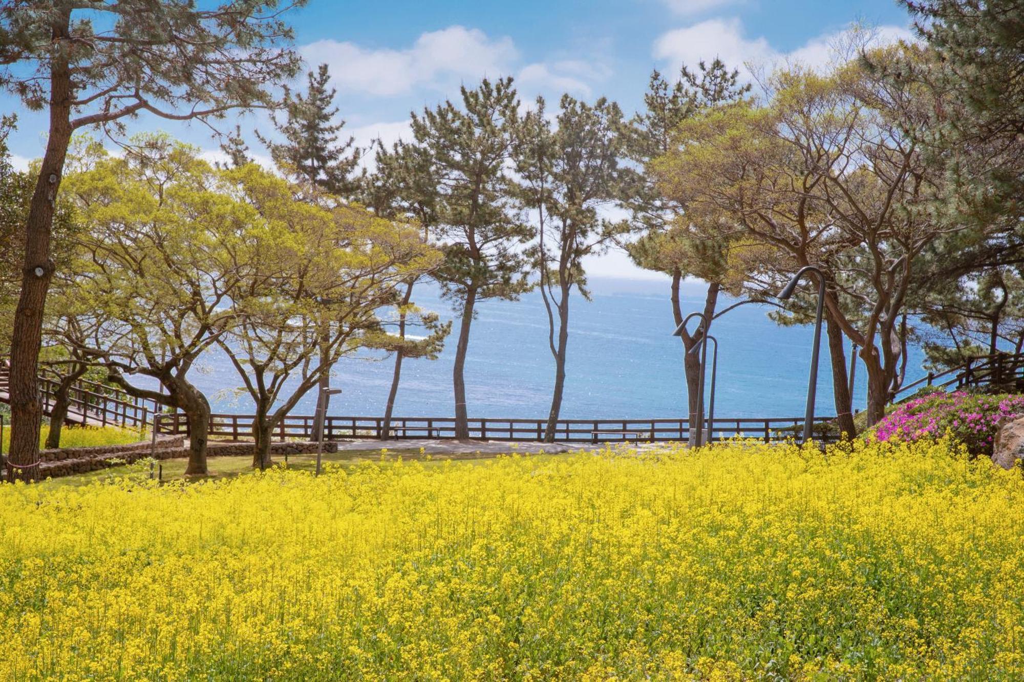 Lotte Hotel Jeju Seogwipo Exterior photo